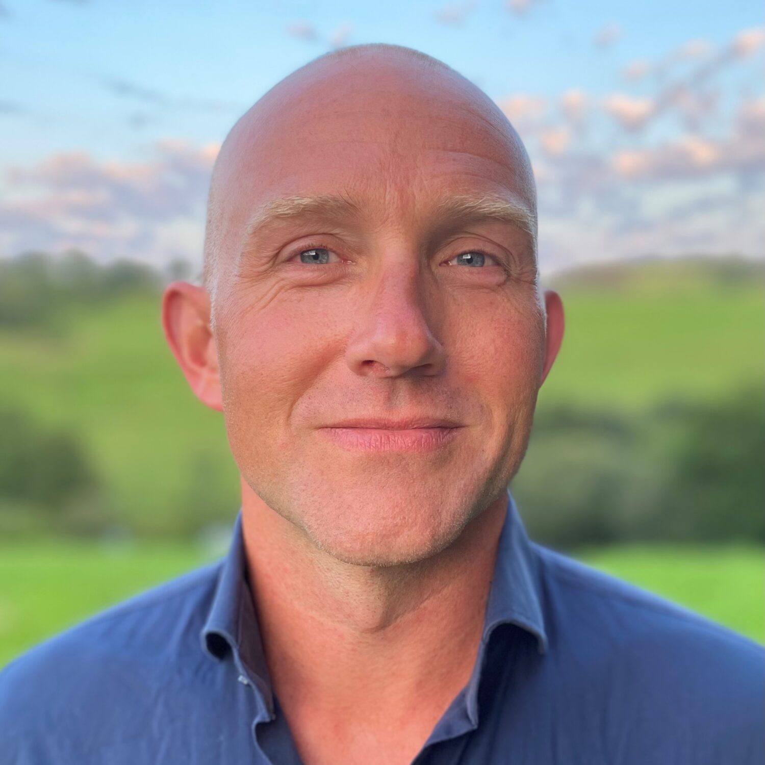 Bestuur Netwerk Scenarioschrijvers Auteursbond